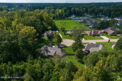 View/Area - 143 Glen Arbor Ct, Brandon, MS 39042 photo 5 of 5