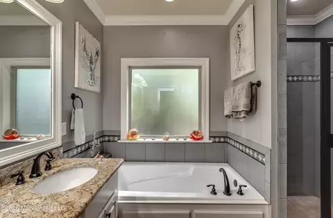 Bath - 143 Glen Arbor Ct, Brandon, MS 39042 photo 2 of 8
