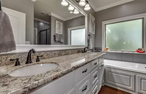 Bath - 143 Glen Arbor Ct, Brandon, MS 39042 photo 4 of 8