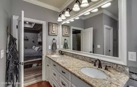 Bath - 143 Glen Arbor Ct, Brandon, MS 39042 photo 3 of 8