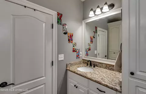 Bath - 143 Glen Arbor Ct, Brandon, MS 39042 photo 7 of 8