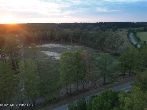 Swamp Road, Carthage, MS 39051 photo 13
