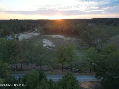 Swamp Road, Carthage, MS 39051 photo 12