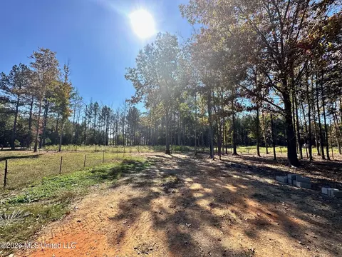 Swamp Road, Carthage, MS 39051 photo 2