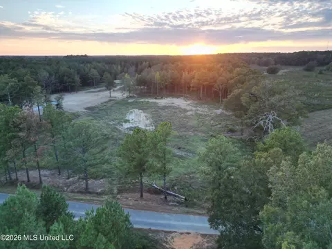 Swamp Road, Carthage, MS 39051 photo 11