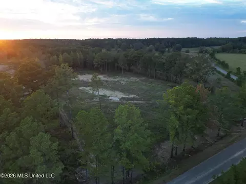 Swamp Road, Carthage, MS 39051 photo 14