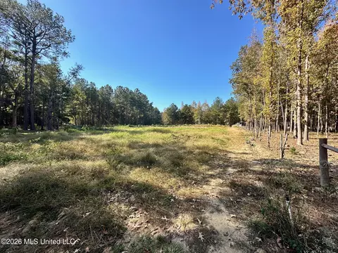 Swamp Road, Carthage, MS 39051 photo 5