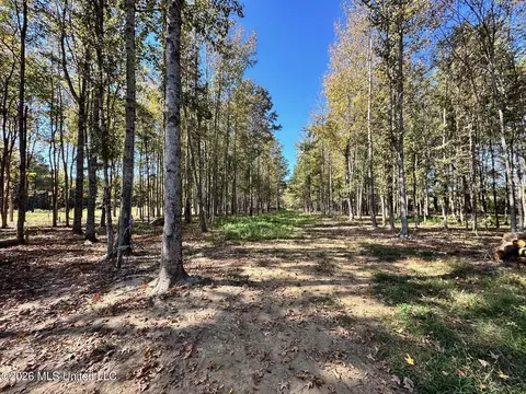 Swamp Road, Carthage, MS 39051 photo 3
