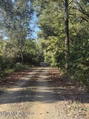 01 N 35 Hwy, Carthage, MS 39051
