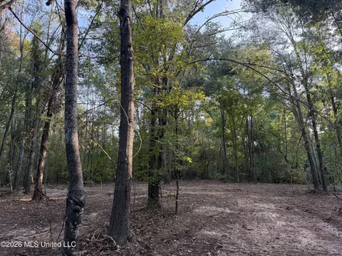 0 Judkins Rd, Yazoo City, MS 39194
