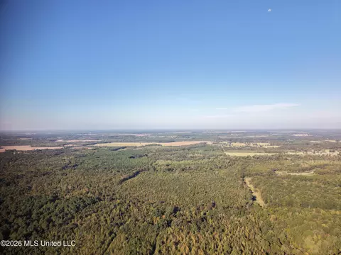 Mcallister Road, Aberdeen, MS 39730 photo 3
