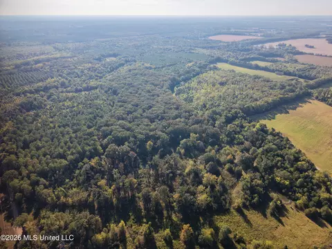 Mcallister Road, Aberdeen, MS 39730 photo 12