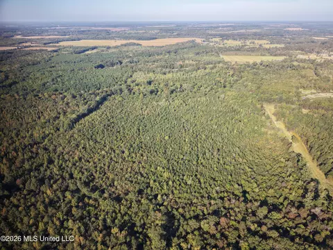 Mcallister Road, Aberdeen, MS 39730 photo 5