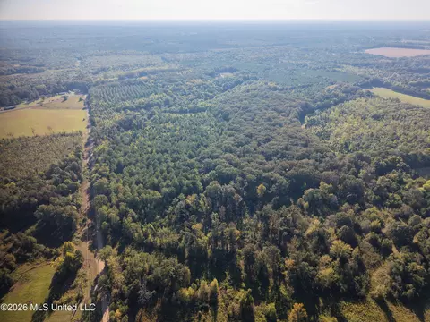 Mcallister Road, Aberdeen, MS 39730 photo 11