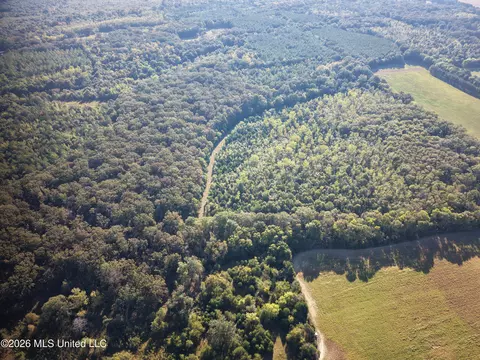Mcallister Road, Aberdeen, MS 39730 photo 14