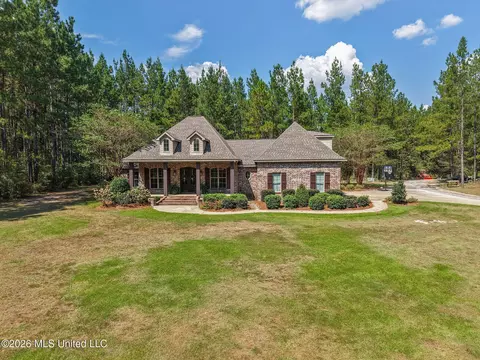 Exterior - 176 Big Hill Rd, Sumrall, MS 39482 photo 5 of 15