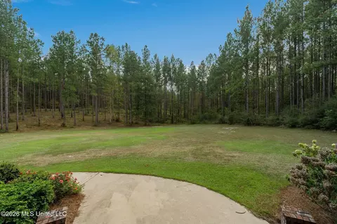 Exterior - 176 Big Hill Rd, Sumrall, MS 39482 photo 7 of 15