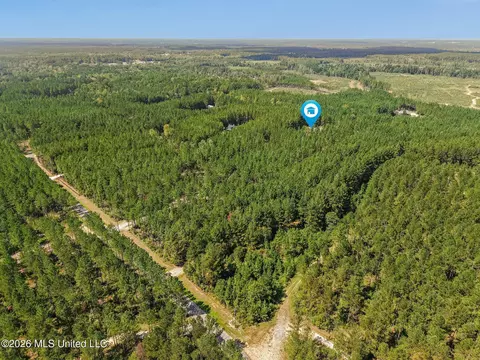 Other - 176 Big Hill Rd, Sumrall, MS 39482 photo 14 of 15