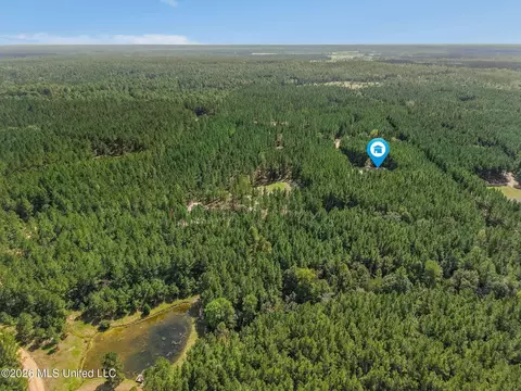 Other - 176 Big Hill Rd, Sumrall, MS 39482 photo 15 of 15
