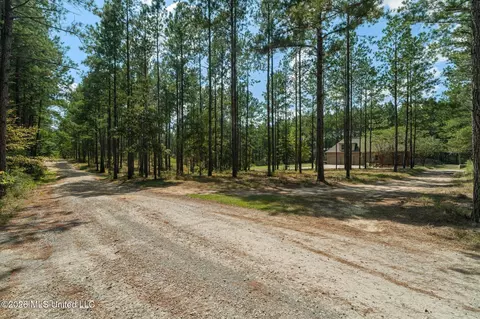 Exterior - 176 Big Hill Rd, Sumrall, MS 39482 photo 6 of 15