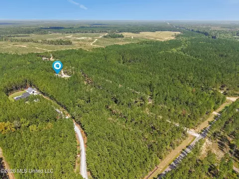 View/Area - 176 Big Hill Rd, Sumrall, MS 39482 photo 2 of 2