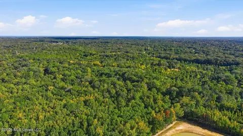 Springridge Rd, Raymond, MS 39154 photo 32