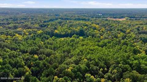Springridge Rd, Raymond, MS 39154 photo 26