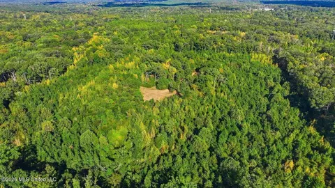Springridge Rd, Raymond, MS 39154 photo 6