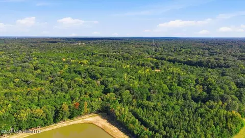 Springridge Rd, Raymond, MS 39154 photo 34