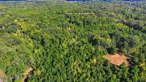 Springridge Rd, Raymond, MS 39154 photo 10