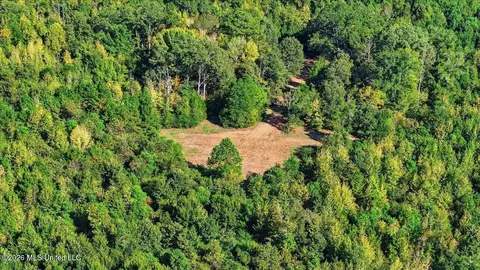 Springridge Rd, Raymond, MS 39154 photo 8