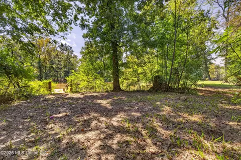 Exterior - 1713 Deer Ln, Lucedale, MS 39452 photo 11 of 11