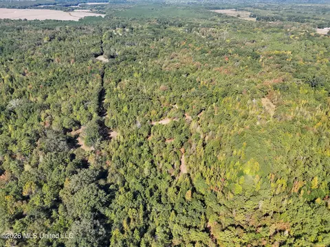 Old 51 Road, Pickens, MS 39146 photo 31
