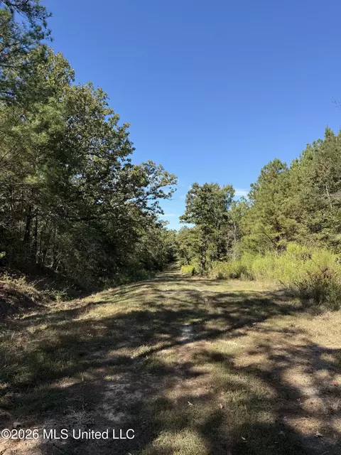 Old 51 Road, Pickens, MS 39146