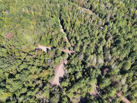 Old 51 Road, Pickens, MS 39146 photo 28