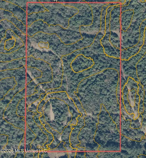 Old 51 Road, Pickens, MS 39146 photo 33