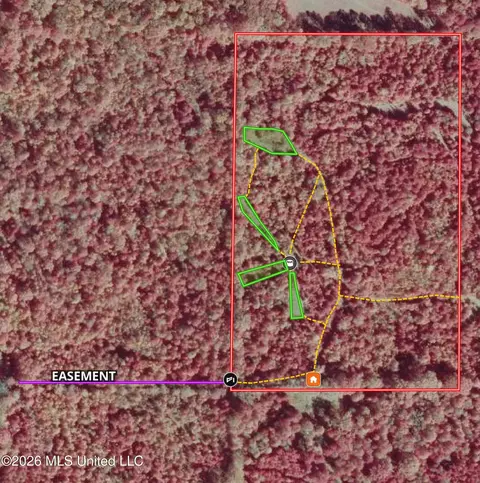 Old 51 Road, Pickens, MS 39146 photo 34