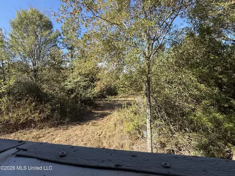 Old 51 Road, Pickens, MS 39146 photo 12