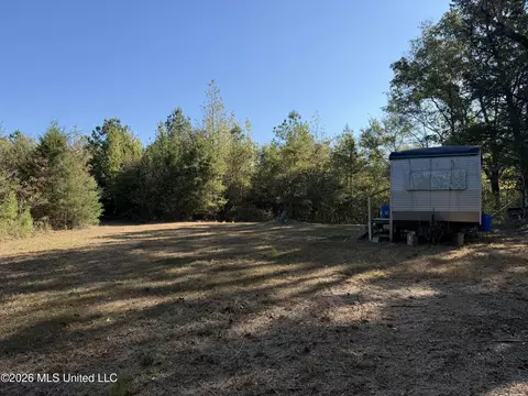 Old 51 Road, Pickens, MS 39146 photo 2