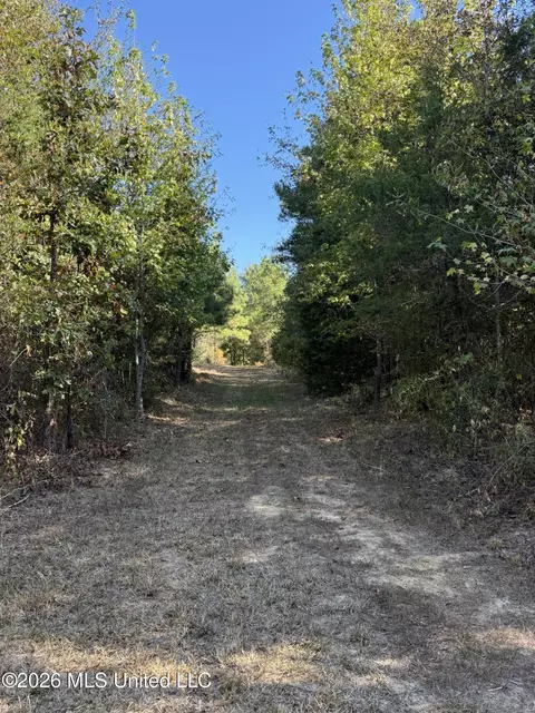 Old 51 Road, Pickens, MS 39146 photo 3