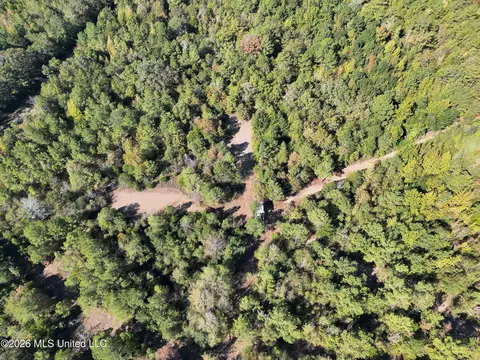 Old 51 Road, Pickens, MS 39146 photo 27