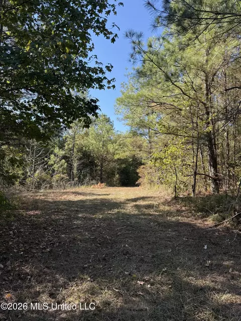 Old 51 Road, Pickens, MS 39146 photo 16