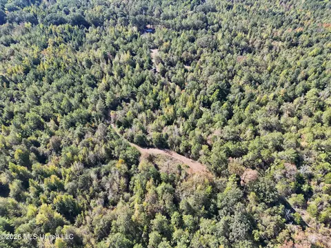 Old 51 Road, Pickens, MS 39146 photo 30