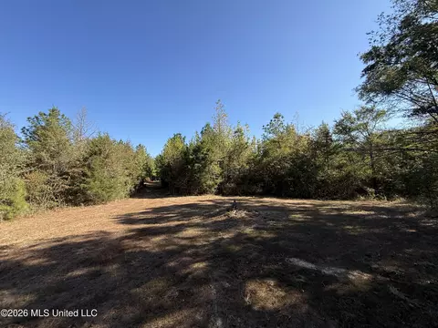 Old 51 Road, Pickens, MS 39146 photo 17