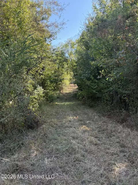 Old 51 Road, Pickens, MS 39146 photo 18