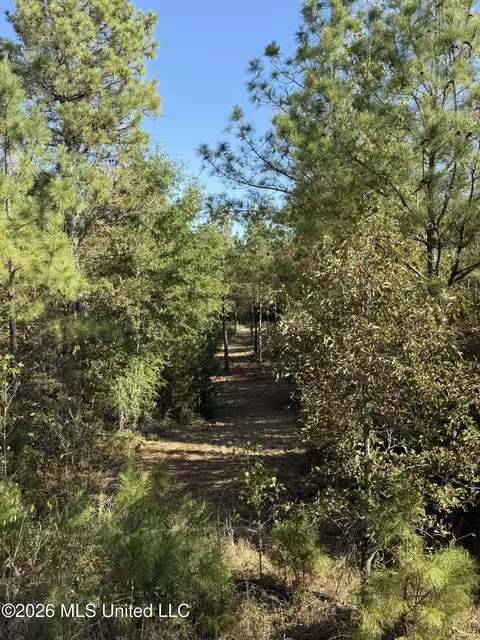 Old 51 Road, Pickens, MS 39146 photo 10
