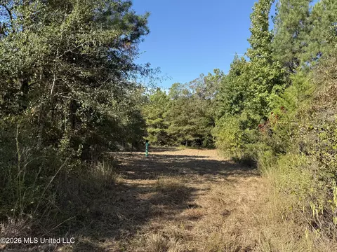 Old 51 Road, Pickens, MS 39146 photo 21
