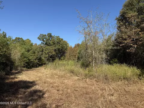 Old 51 Road, Pickens, MS 39146 photo 19