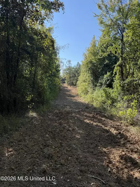 Old 51 Road, Pickens, MS 39146 photo 20