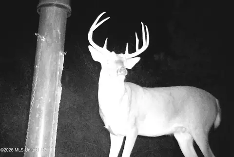 Old 51 Road, Pickens, MS 39146 photo 25